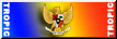 Badge TROPICAIR VFR Venezuela
