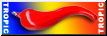 Badge TROPICAIR VFR Venezuela
